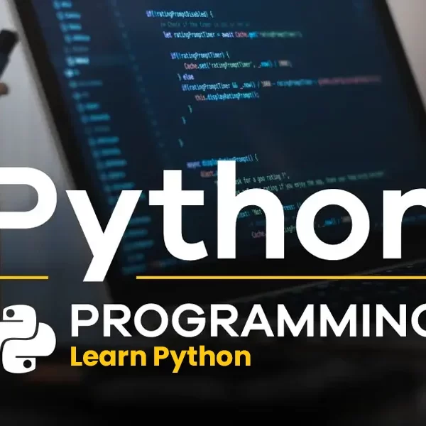 Python Full Stack Developer